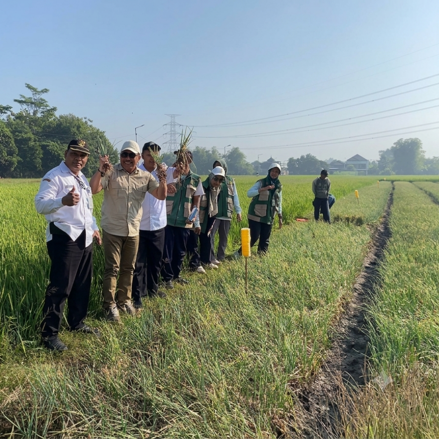 Panen Raya Bawang Merah di Desa Kepunten, Wujud Sinergi Petani, Pemerintah, dan DPRD untuk Ketahanan